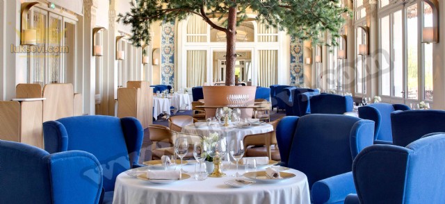 Lüks Restoran Masa Sandalye Modelleri